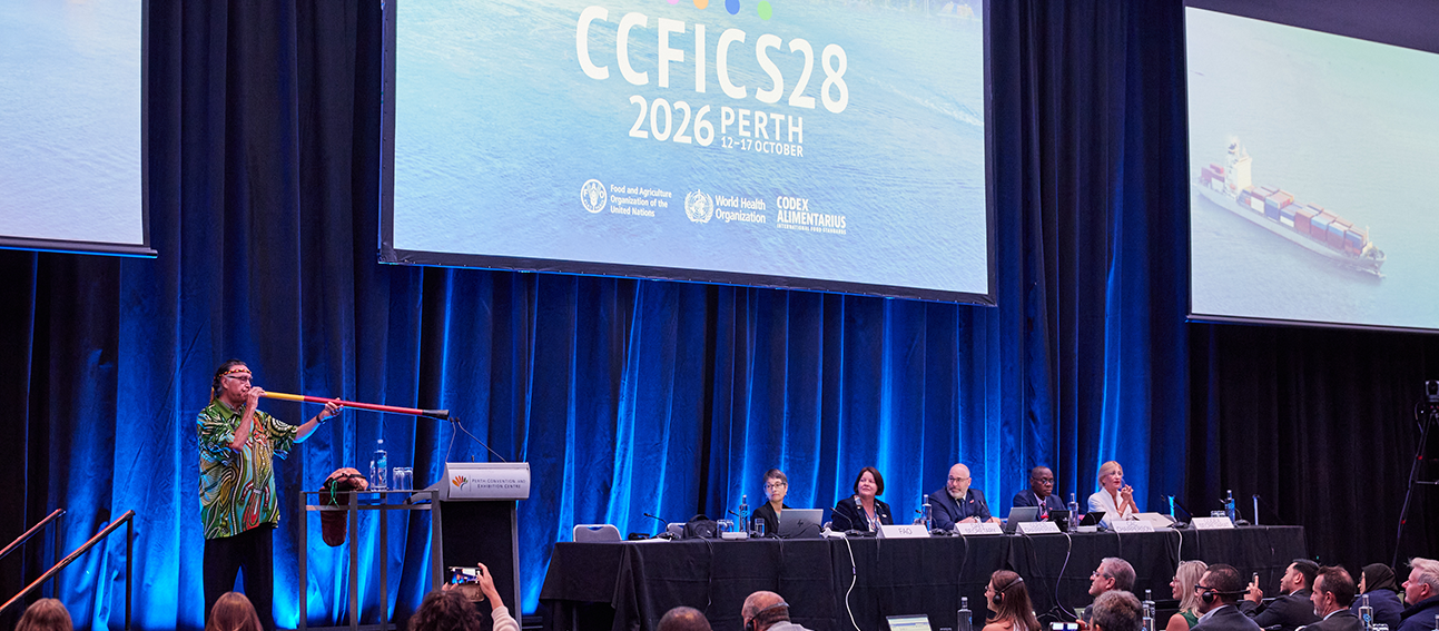 Interconnectedness is a key factor in inspection and certification work, as Committee meets for 28th Session